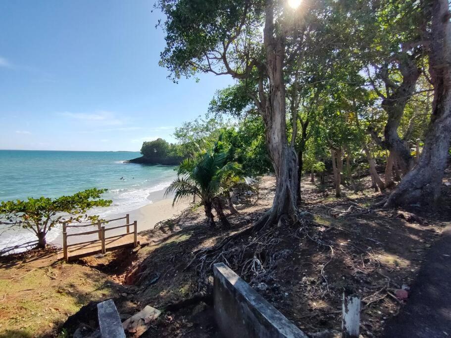 Haut De Villa Avec Vue Sur La Mer Sainte-Rose Exterior photo